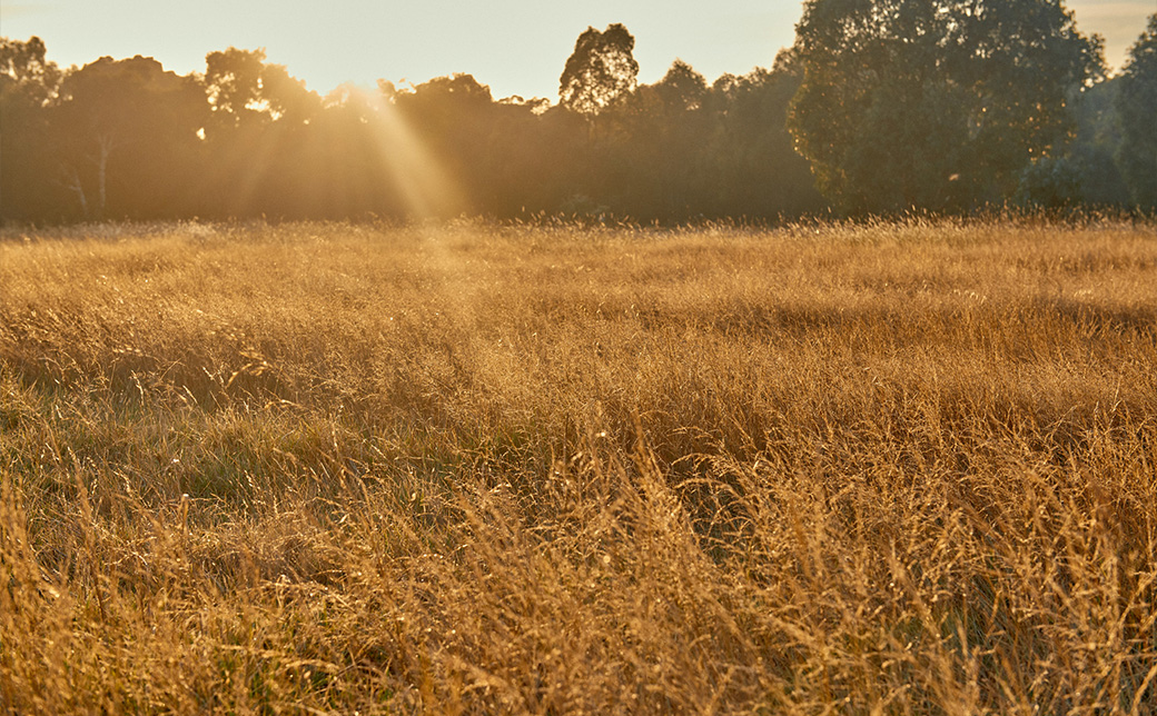 Moremac Make Moves North, Establish Queensland Operations